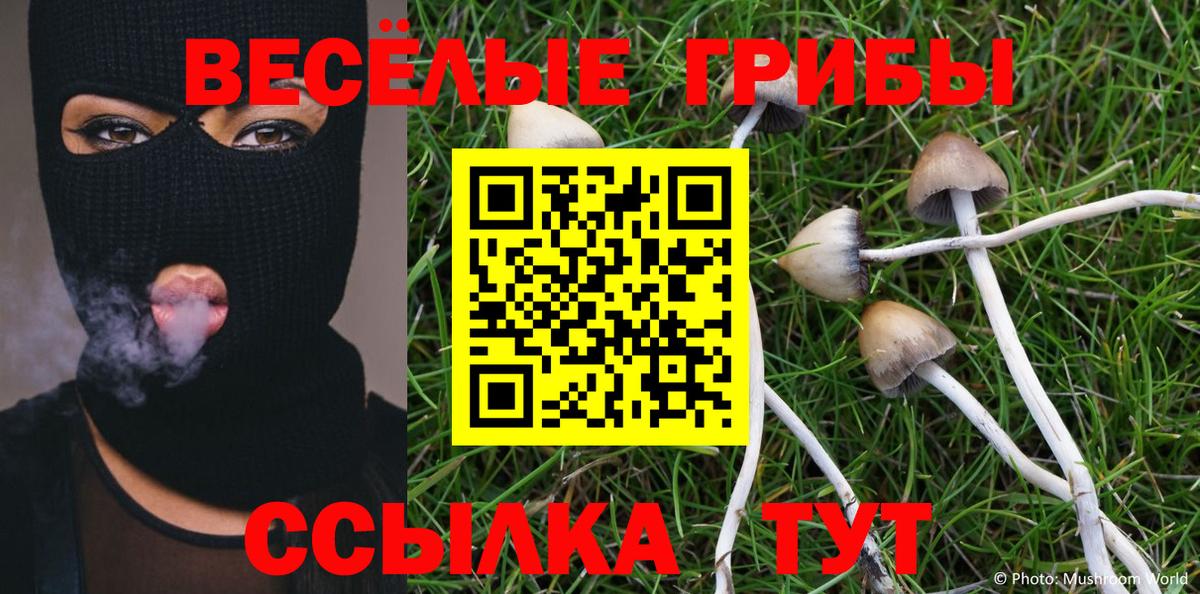 Галлюциногенные грибы Psilocybine cubensis  Вход с VPN  Грязи  Галлюциногенные грибы Psilocybe 